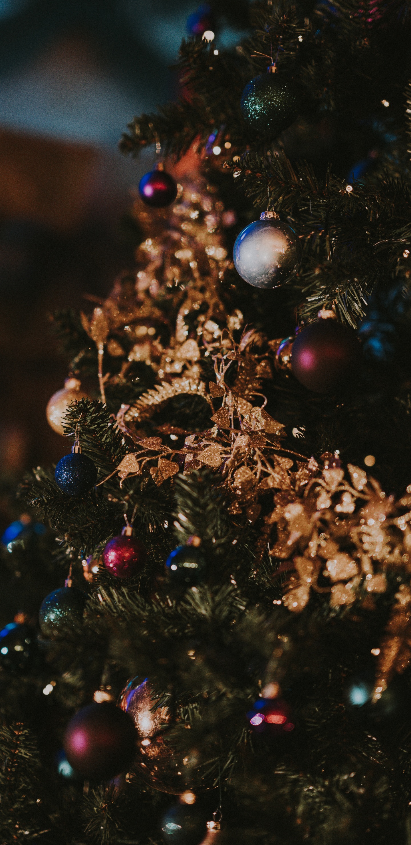 Обои Рождественский день, Рождественские огни, елка, рождественский орнамент, дерево в разрешении 1440x2960