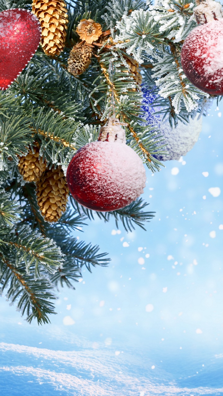 Обои Новый год, Рождественский день, рождественский орнамент, дерево, пихта в разрешении 720x1280