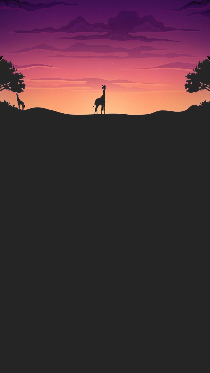 Обои облако, атмосфера, экорегион, природный ландшафт, ветвь в разрешении 720x1280