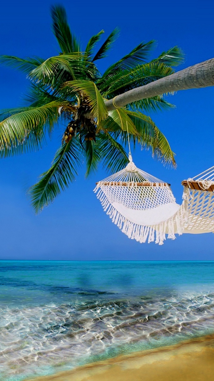 Обои гавайский пляж, пляж, море, Карибский бассейн, тропическая зона в разрешении 720x1280