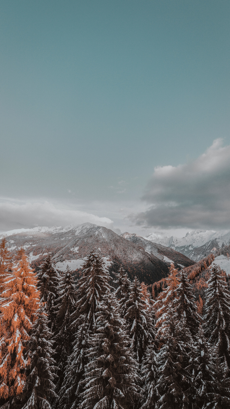 Обои зима, снег, дерево, гора, горный рельеф в разрешении 750x1334