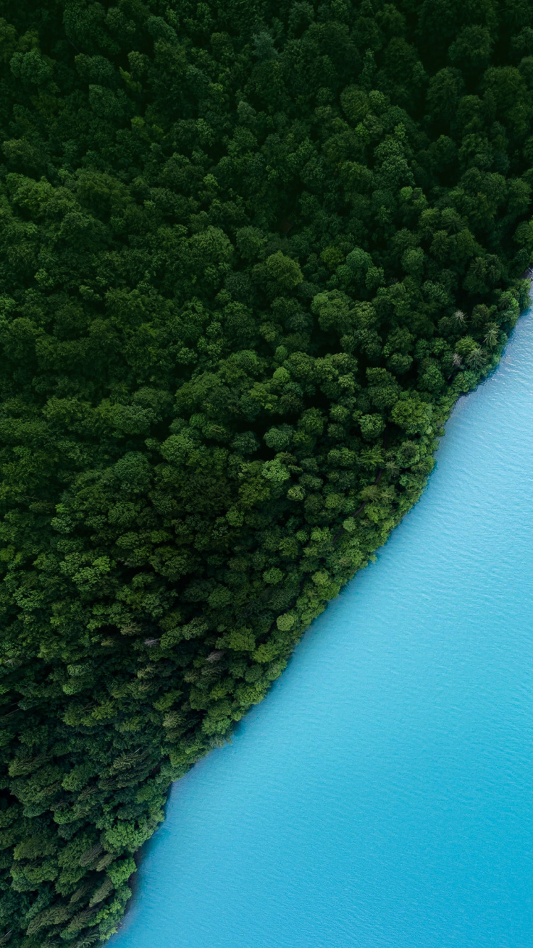 Обои OPPO, Oppo Realme, Оппо Ф7, Oppo R15, смартфон в разрешении 750x1334