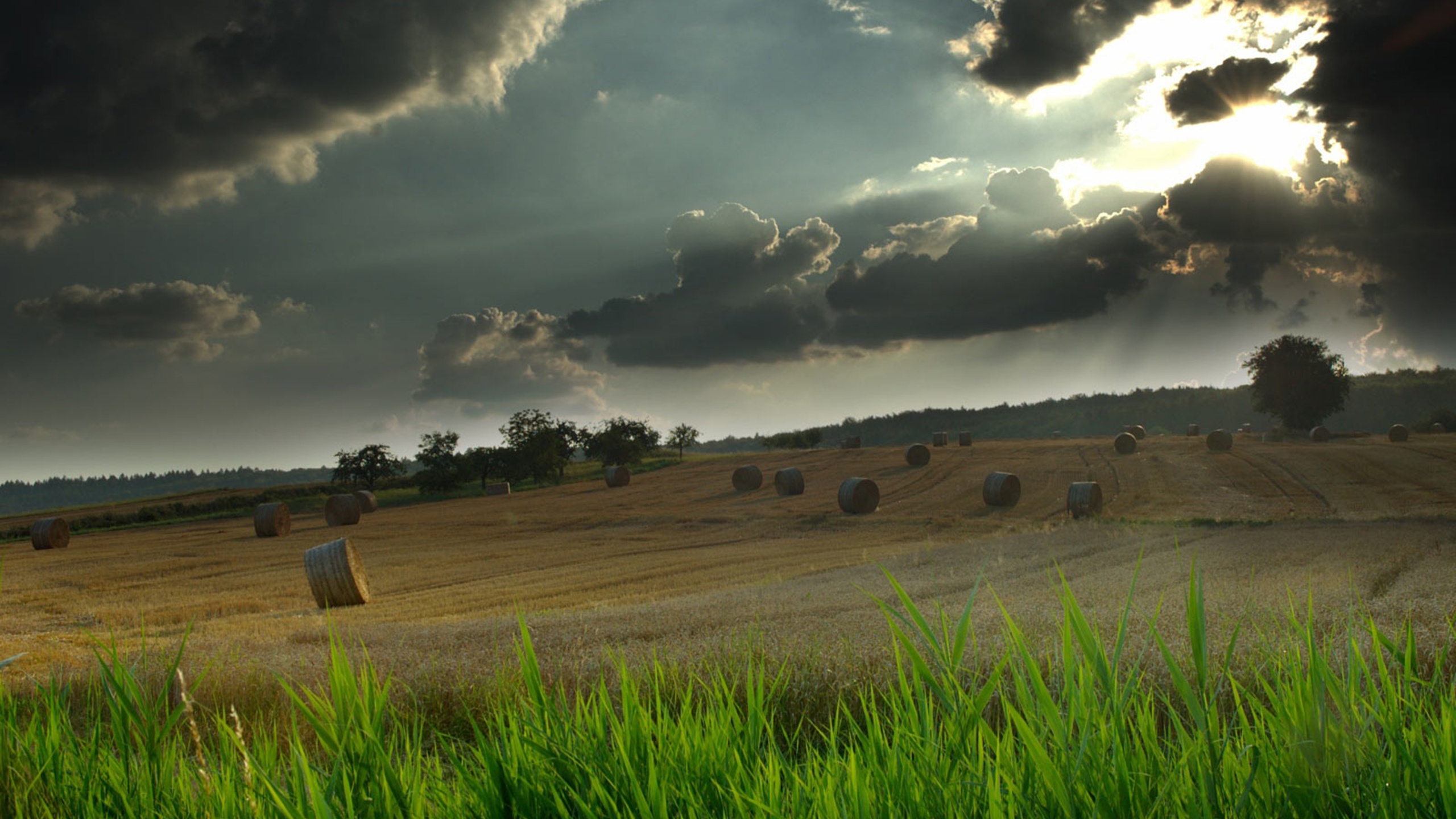 Обои пейзаж, облако, природный ландшафт, природа, зеленый в разрешении 2560x1440