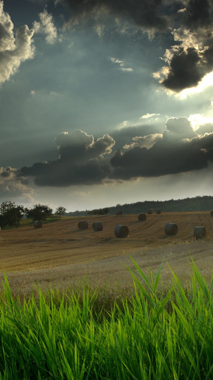 Обои пейзаж, облако, природный ландшафт, природа, зеленый в разрешении 720x1280