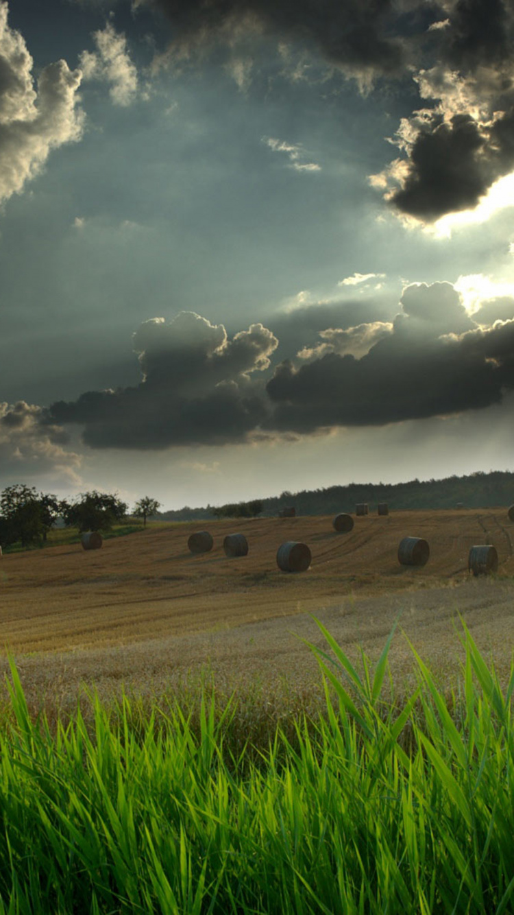 Обои пейзаж, облако, природный ландшафт, природа, зеленый в разрешении 750x1334