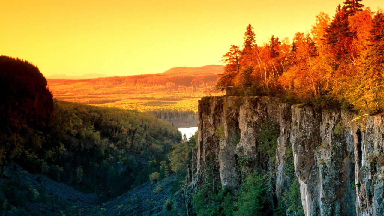 Обои уимет каньон, природа, дерево, утро, дикая местность в разрешении 1280x720