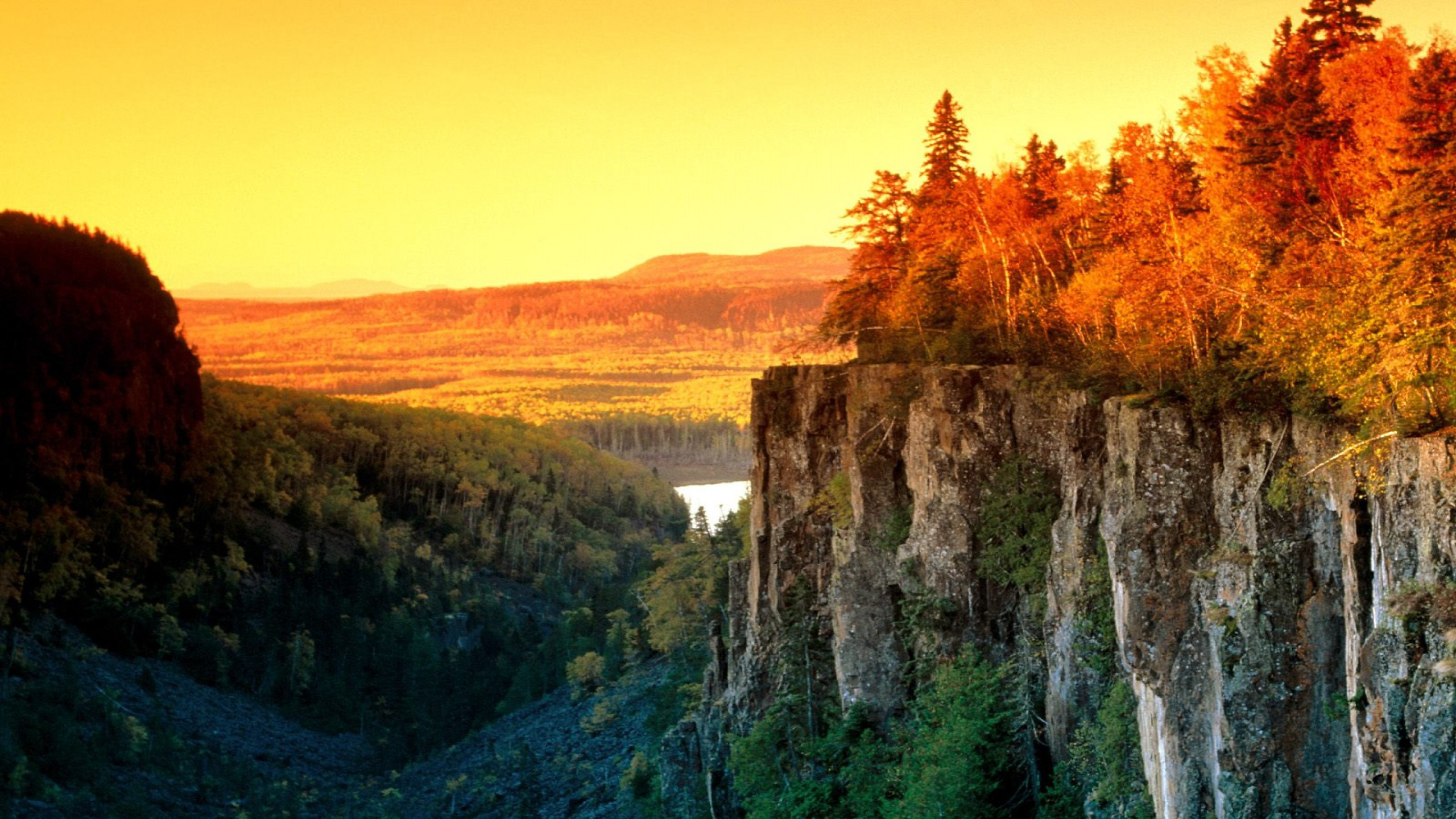 Обои уимет каньон, природа, дерево, утро, дикая местность в разрешении 2560x1440