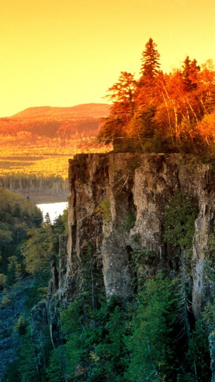 Обои уимет каньон, природа, дерево, утро, дикая местность в разрешении 720x1280