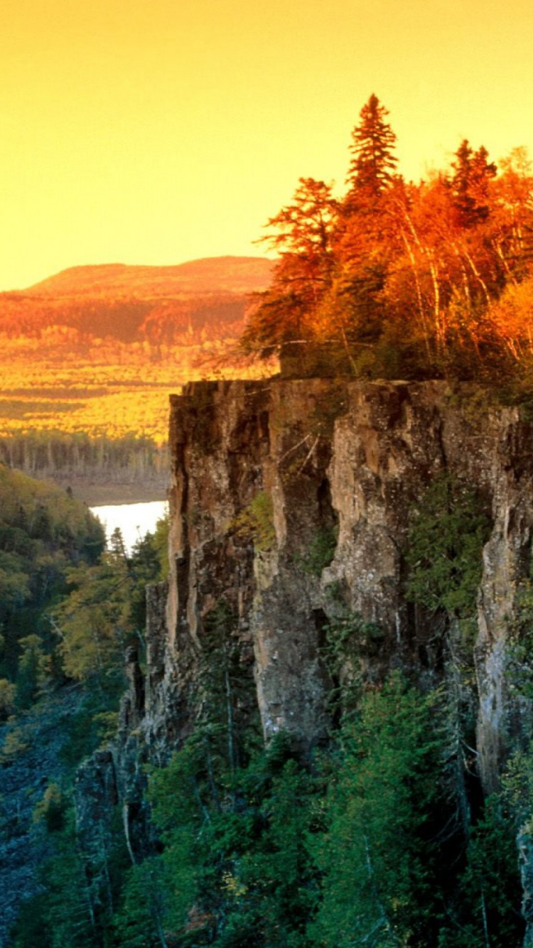 Обои уимет каньон, природа, дерево, утро, дикая местность в разрешении 750x1334