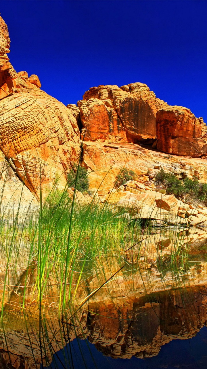 Обои природа, формирование, рок, дикая местность, каньон в разрешении 720x1280