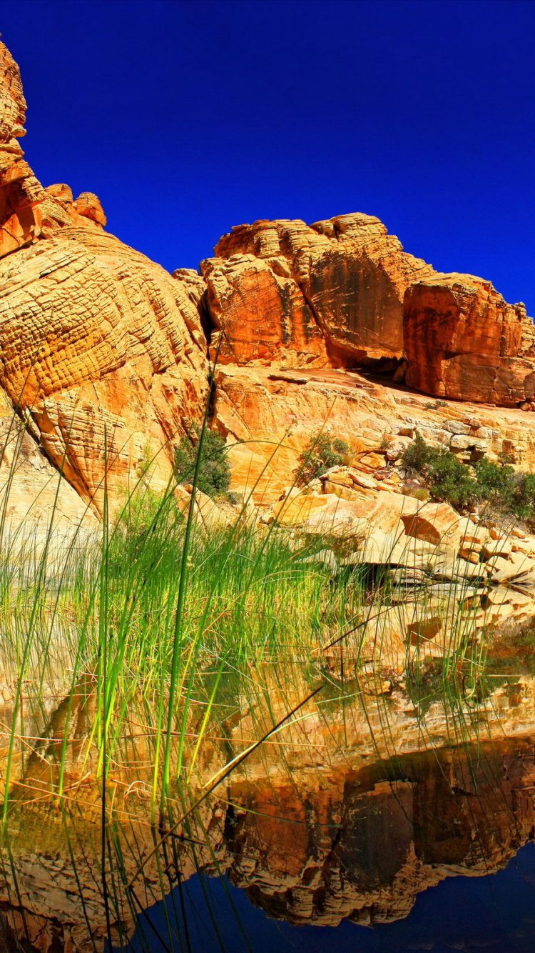 Обои природа, формирование, рок, дикая местность, каньон в разрешении 750x1334