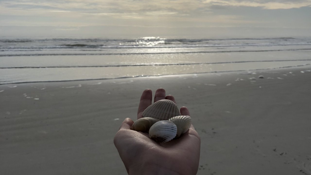 Обои море, наука, физика, водоем, человек в разрешении 1280x720