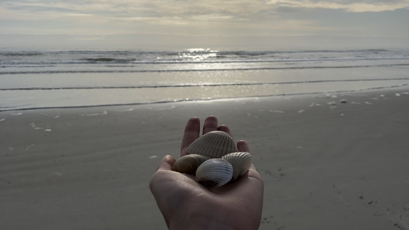 Обои море, наука, физика, водоем, человек в разрешении 1366x768