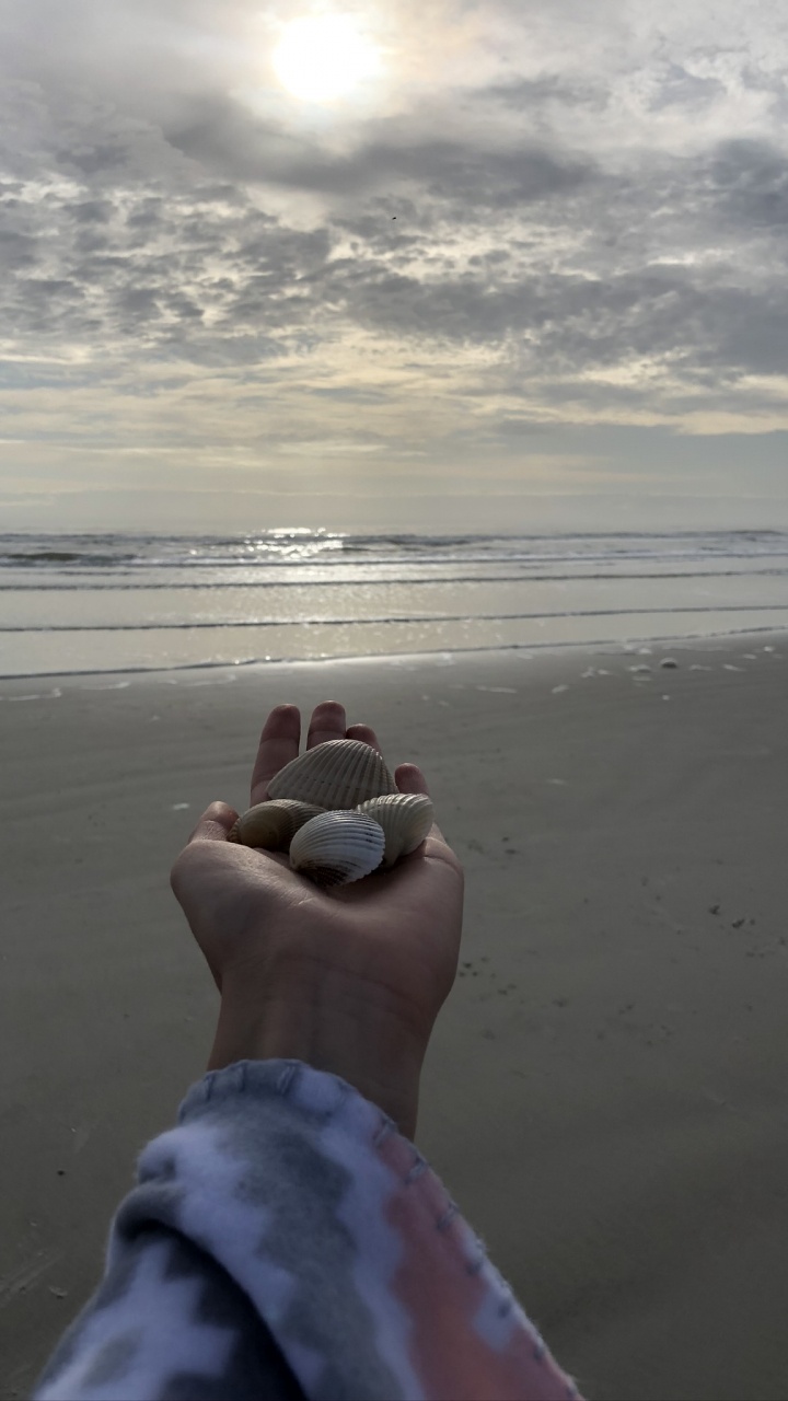 Обои море, наука, физика, водоем, человек в разрешении 720x1280