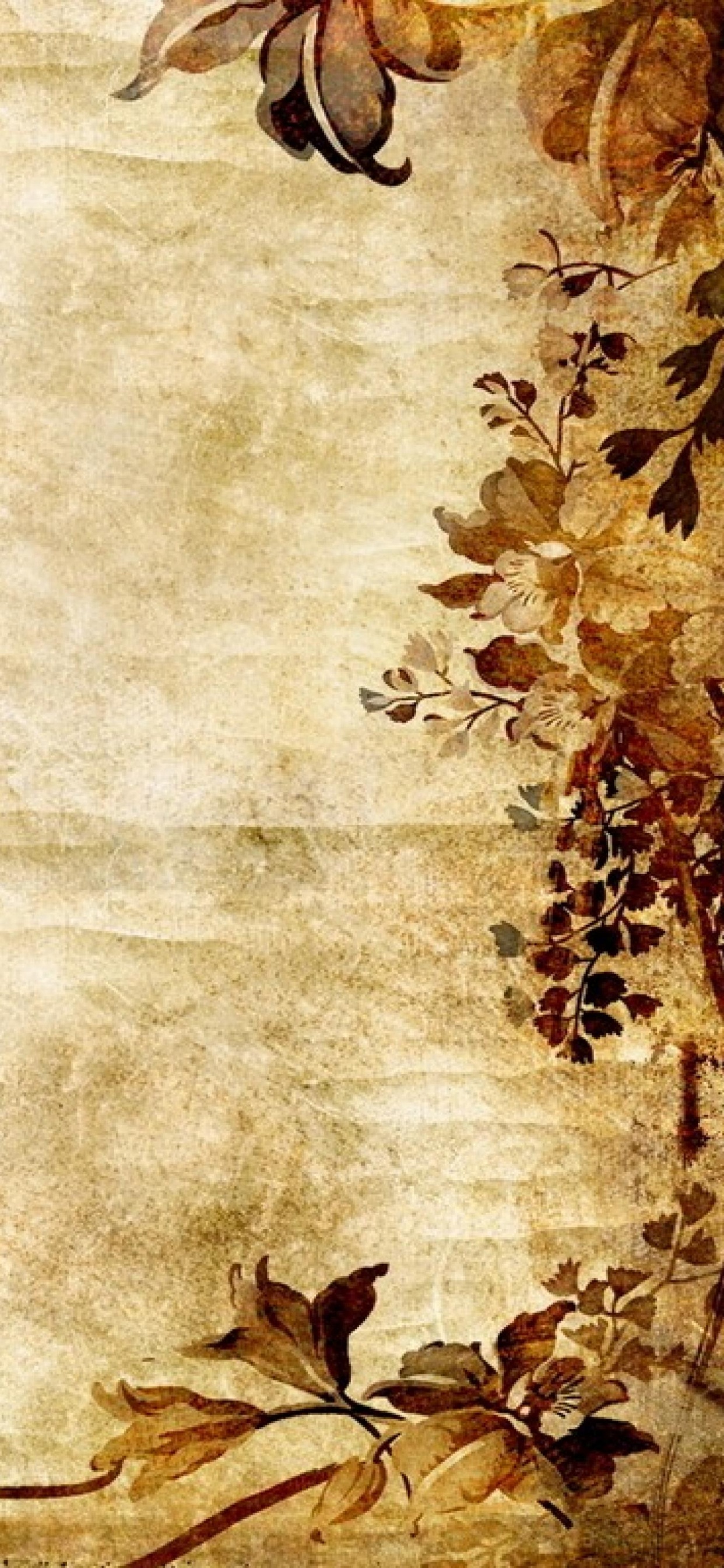 Обои лист, визуальное искусство, узор, арт, искусство в разрешении 1242x2688