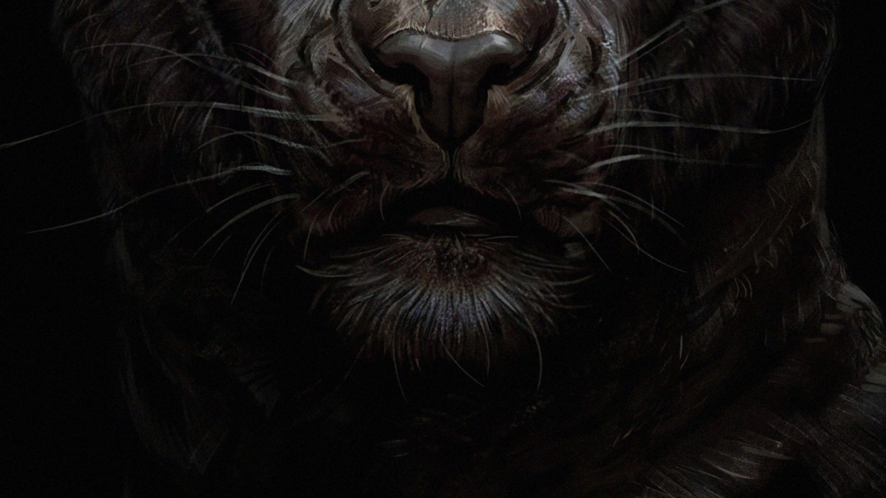 Обои королевский дворец, soundcloud, кошачьих, серый цвет, кошки малого и среднего размера в разрешении 1280x720