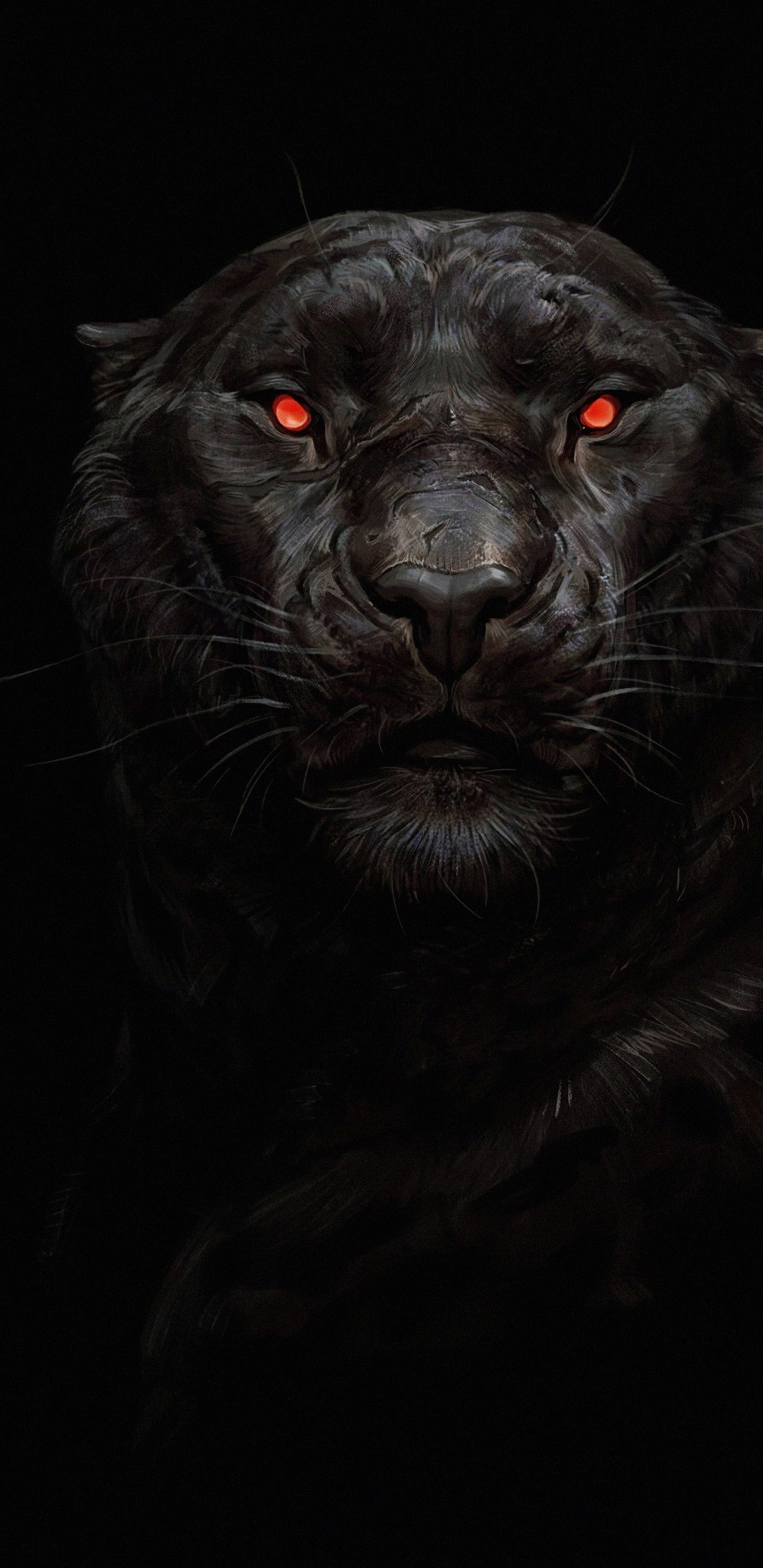 Обои королевский дворец, soundcloud, кошачьих, серый цвет, кошки малого и среднего размера в разрешении 1440x2960