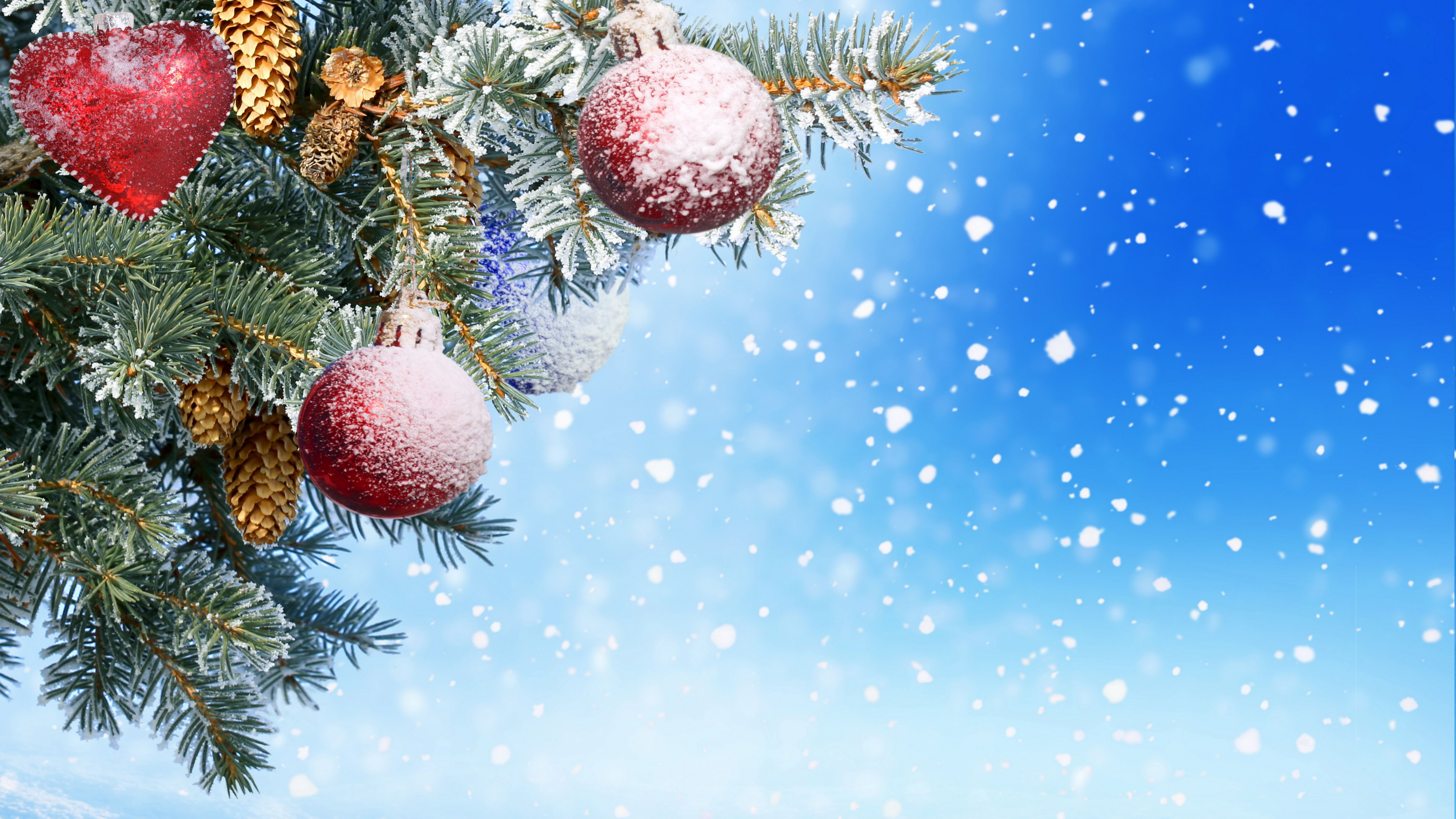Обои Новый год, Рождественский день, рождественский орнамент, дерево, пихта в разрешении 3840x2160