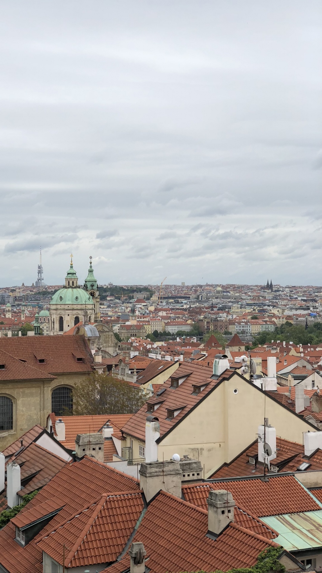 Обои водоем, природа, растительность, архитектура, жилой район в разрешении 1080x1920