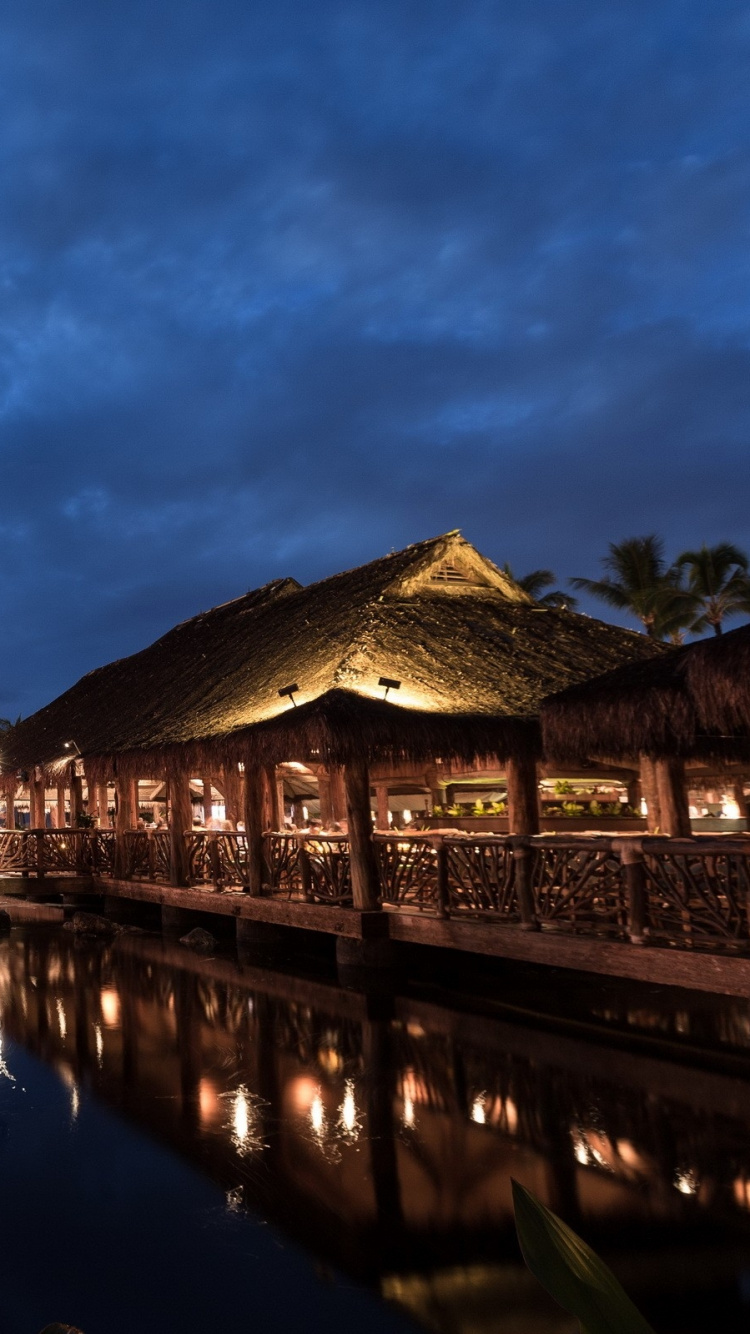 Обои ночь, отражение, вода, водный путь, дерево в разрешении 750x1334