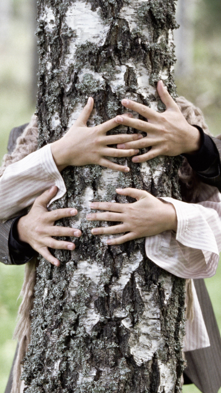 Обои дерево, древесные растения, лесистая местность, лес, растение в разрешении 750x1334