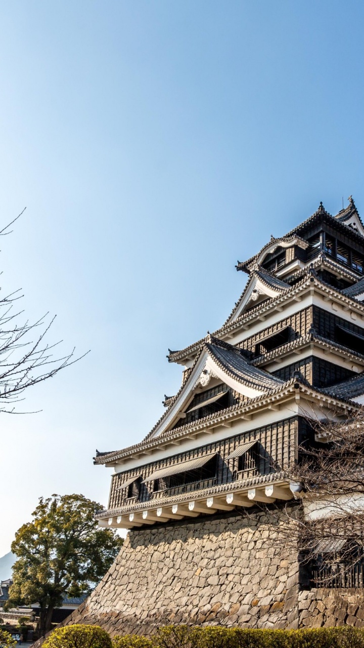 Обои достопримечательность, архитектура, ориентир, дерево, здание в разрешении 720x1280