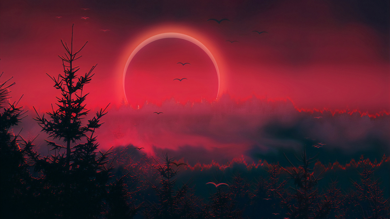 Обои красный цвет, небесное явление, атмосфера, ночь, дерево в разрешении 1280x720