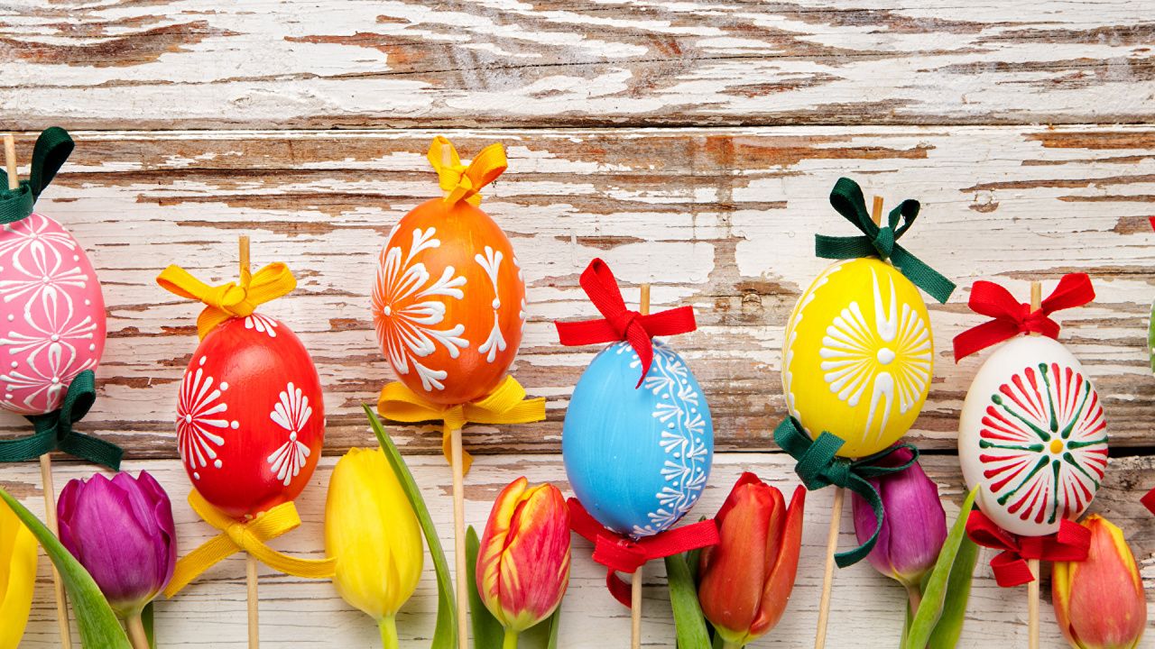 Обои пасхальное яйцо, тюльпаны, пасха, букетик, Тюльпан в разрешении 1280x720