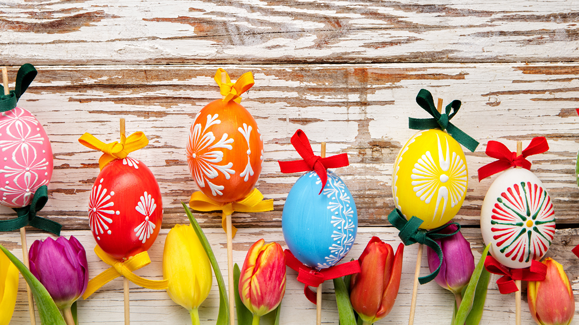 Обои пасхальное яйцо, тюльпаны, пасха, букетик, Тюльпан в разрешении 1920x1080