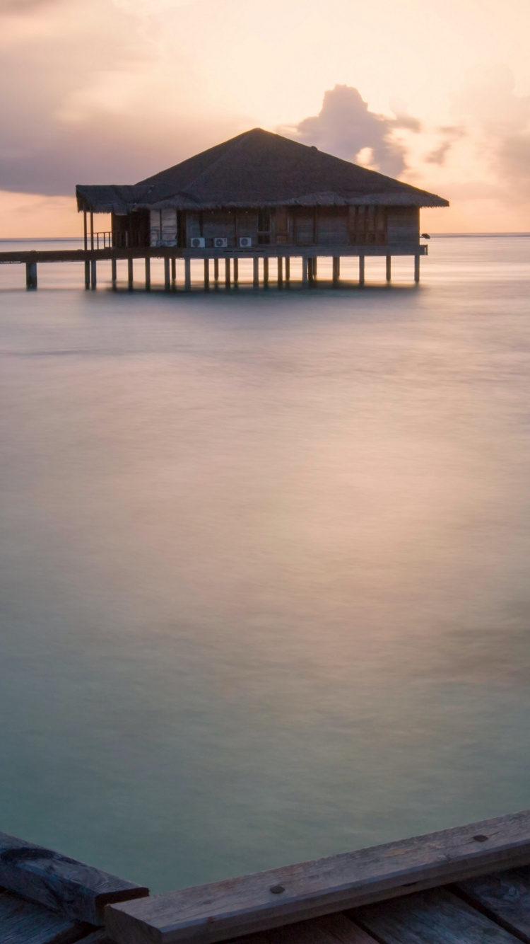 Обои море, горизонт, вода, облако, утро в разрешении 750x1334