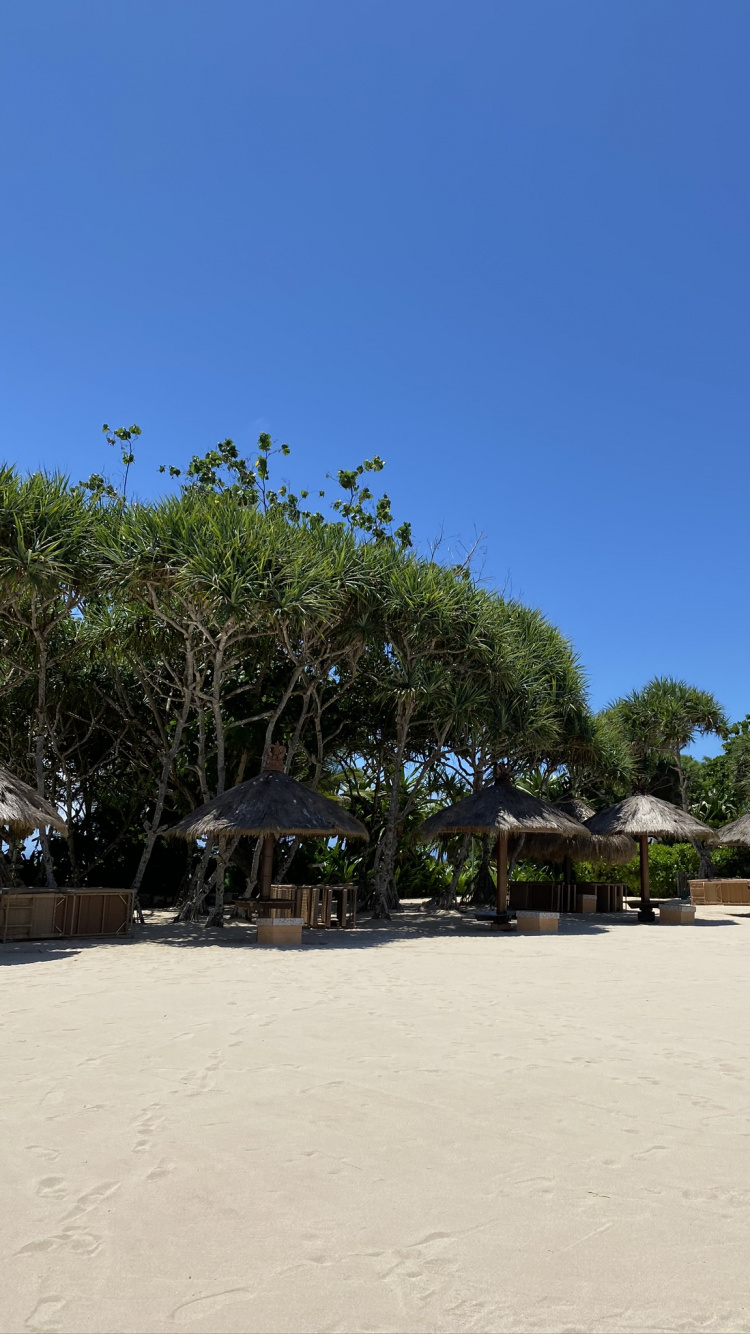 Обои вода, песок, тень, пляж, тропическая зона в разрешении 750x1334