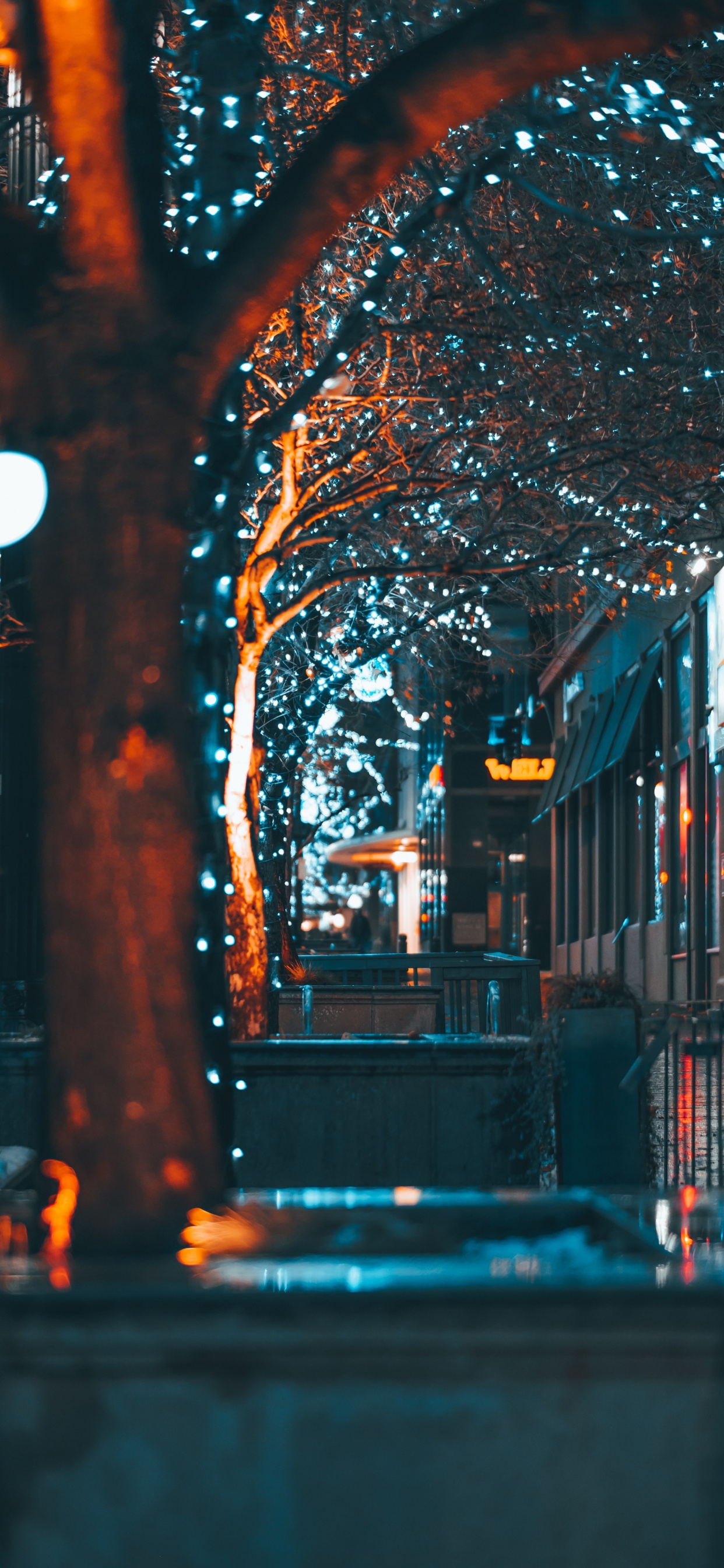 Обои синий, свет, ночь, освещение, городок в разрешении 1242x2688