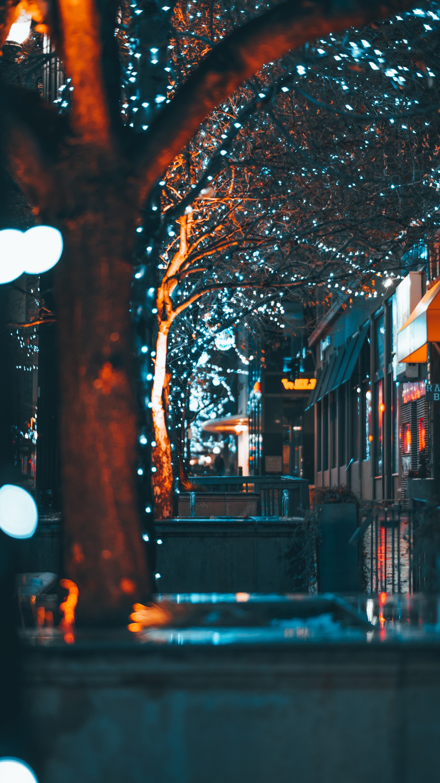 Обои синий, свет, ночь, освещение, городок в разрешении 1440x2560