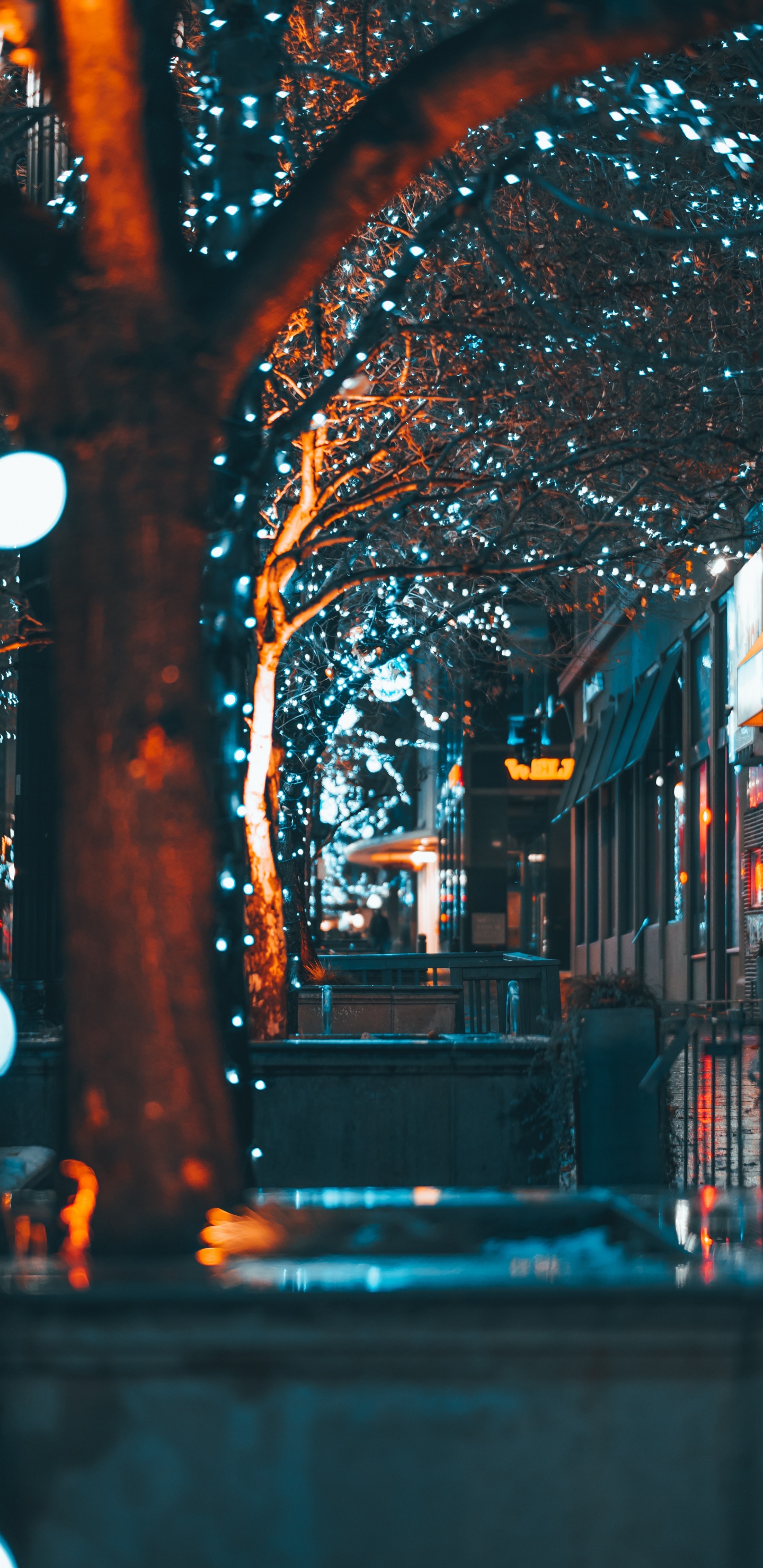 Обои синий, свет, ночь, освещение, городок в разрешении 1440x2960