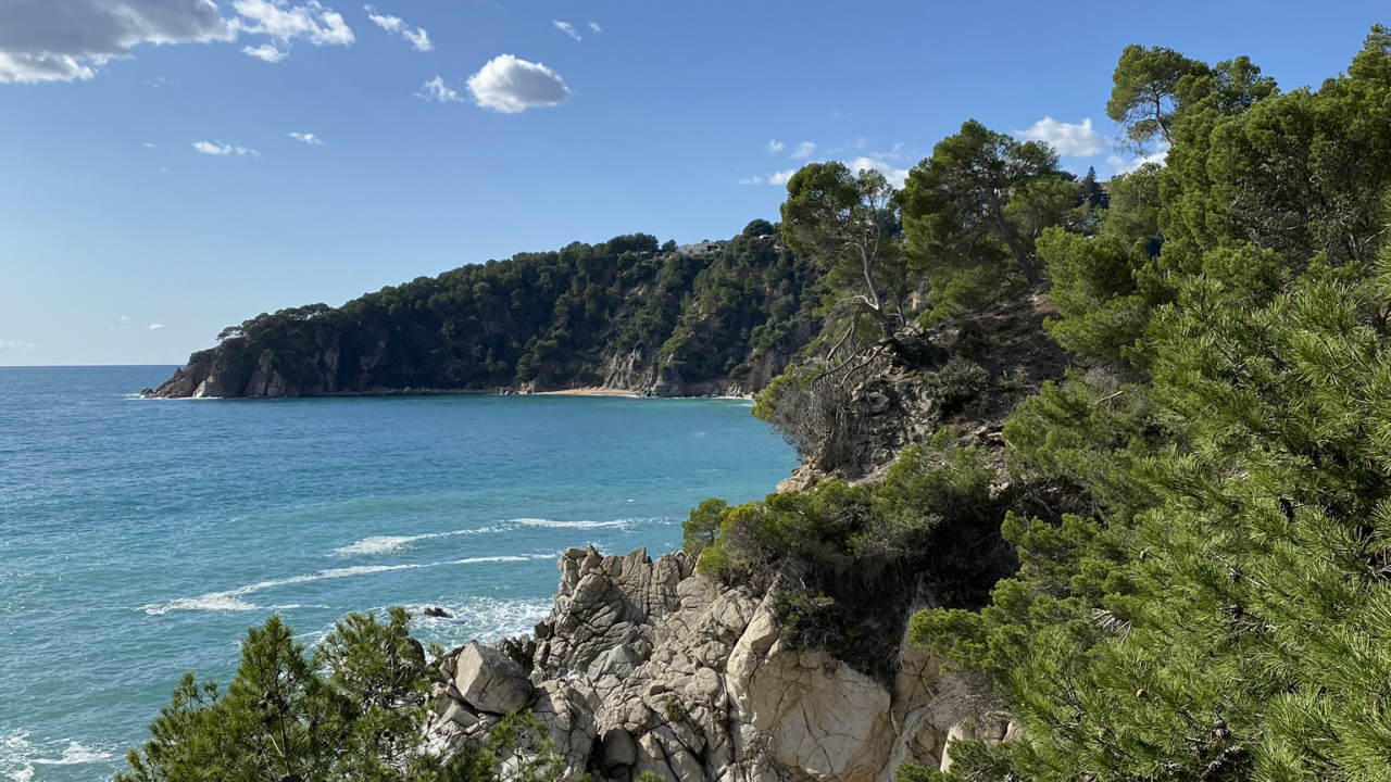 Обои побережье, растительность, облако, природный ландшафт, океан в разрешении 1280x720