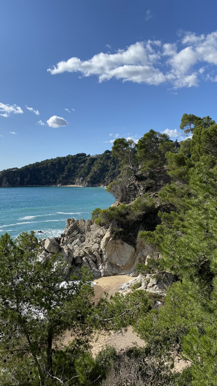 Обои побережье, растительность, облако, природный ландшафт, океан в разрешении 720x1280