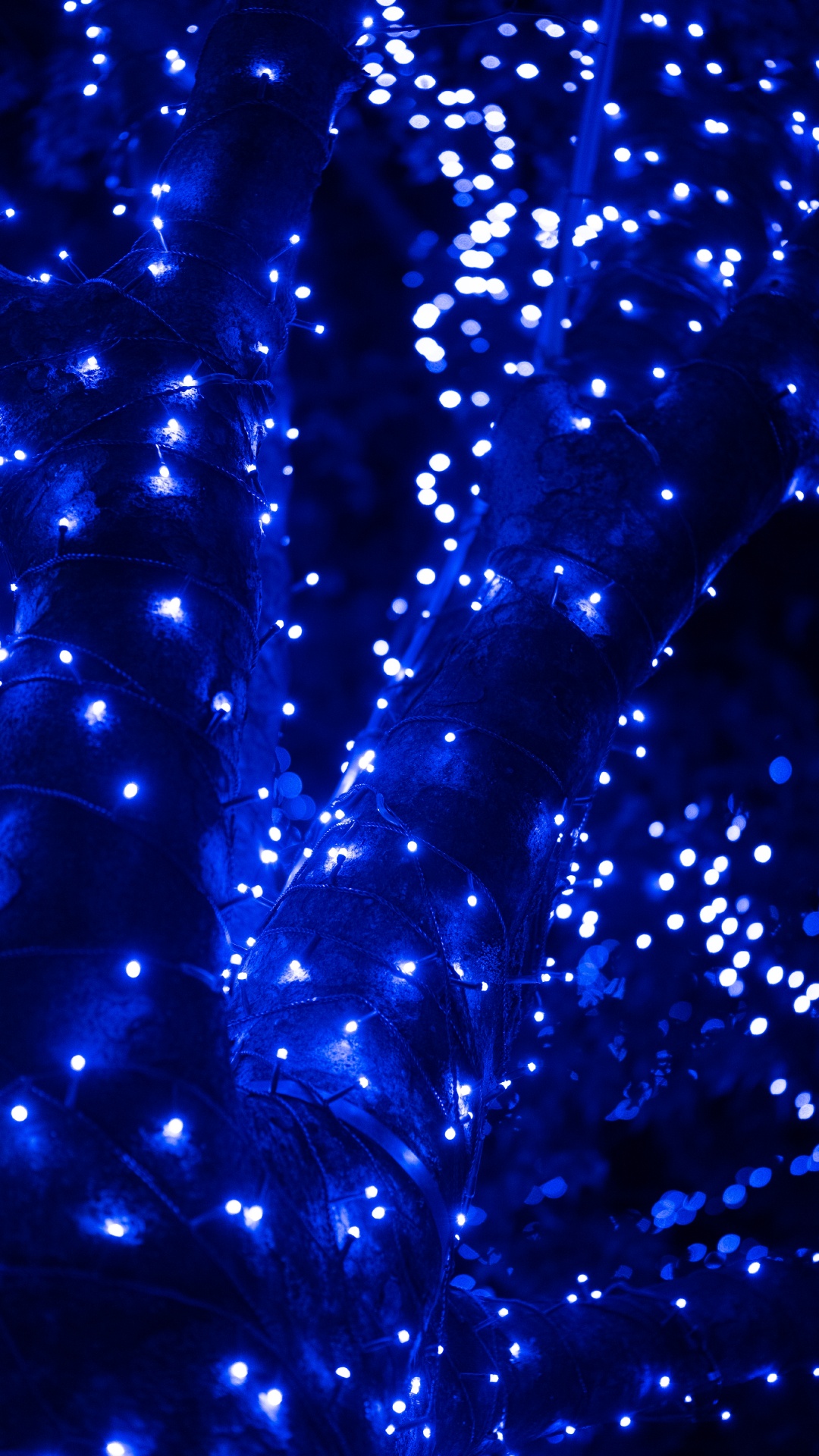 Обои синий, вода, свет, электрик, синий кобальт в разрешении 1080x1920