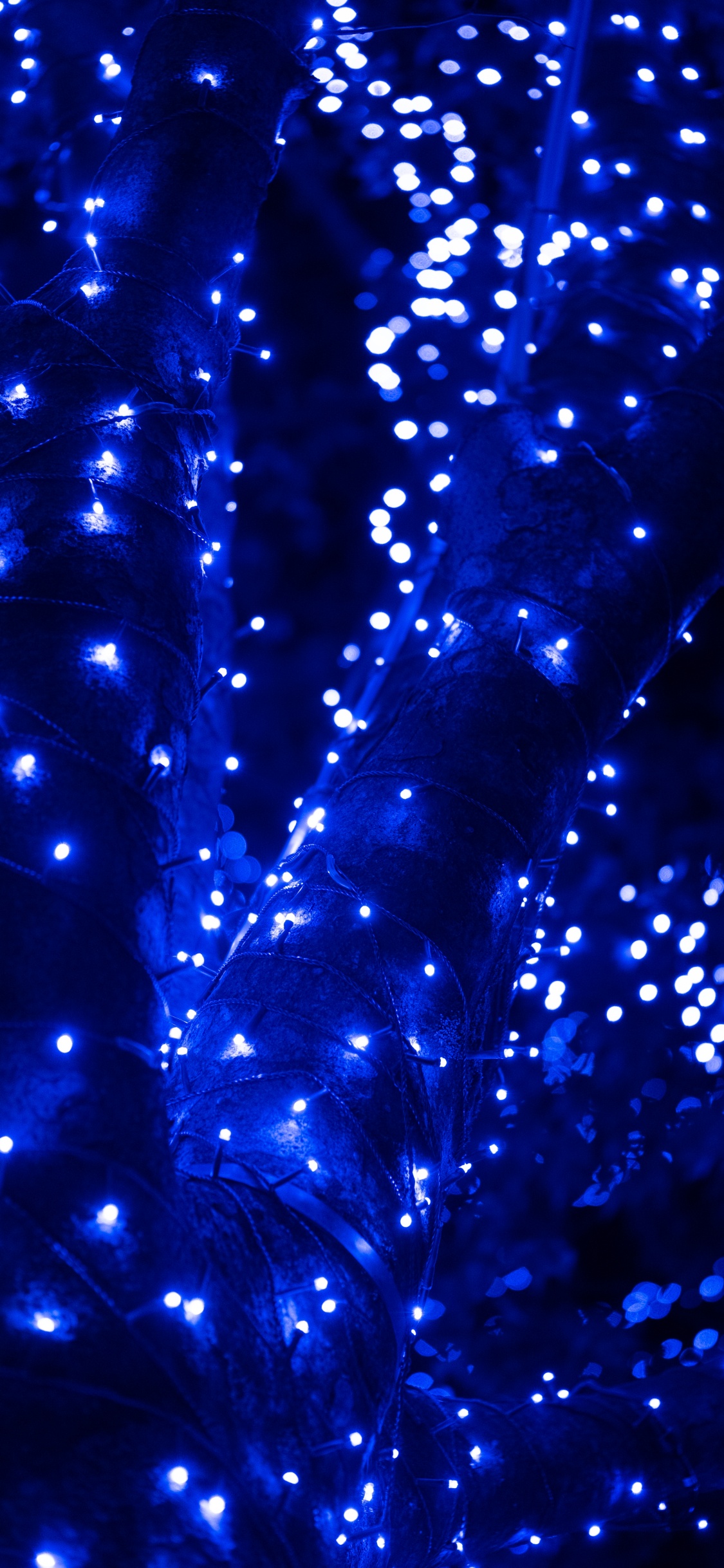 Обои синий, вода, свет, электрик, синий кобальт в разрешении 1125x2436