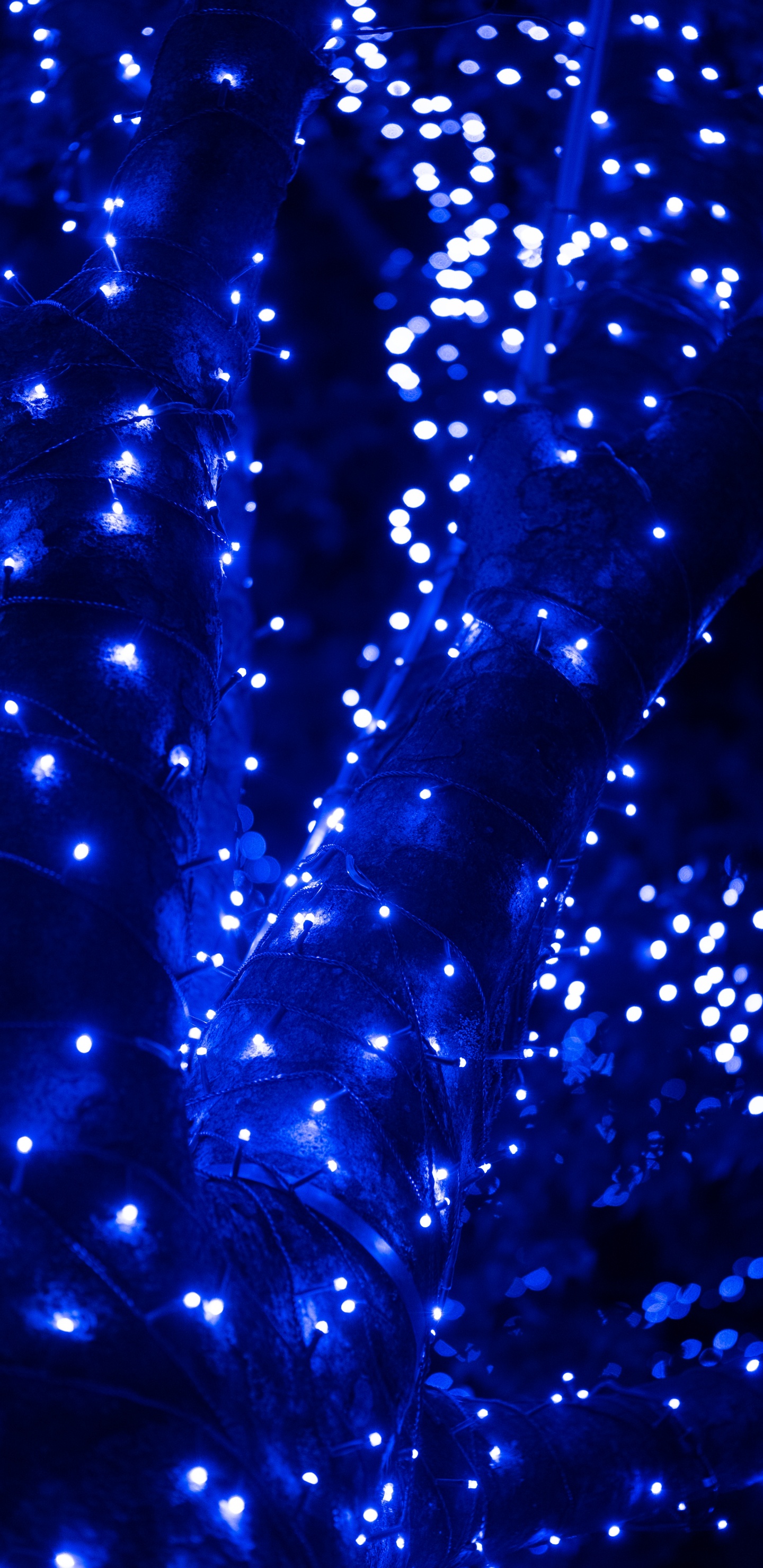 Обои синий, вода, свет, электрик, синий кобальт в разрешении 1440x2960