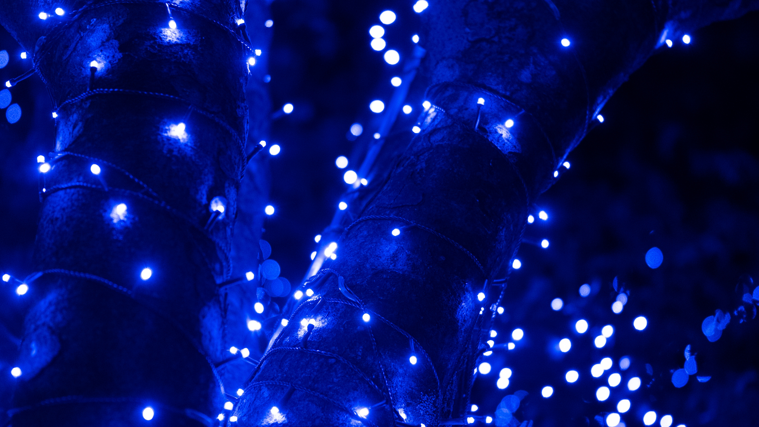 Обои синий, вода, свет, электрик, синий кобальт в разрешении 2560x1440