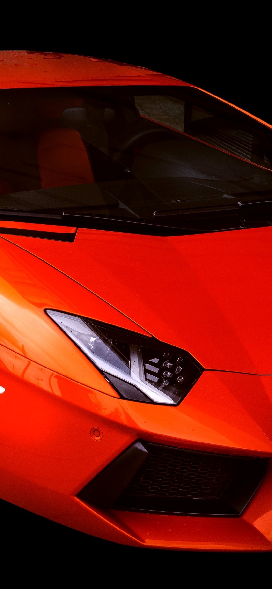 Обои Ламборджини, спорткар, авто, суперкар, Ламборгини авентадор в разрешении 1125x2436