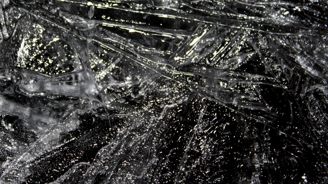 Обои вода, черный и белый, черный, монохромный, дерево в разрешении 1366x768