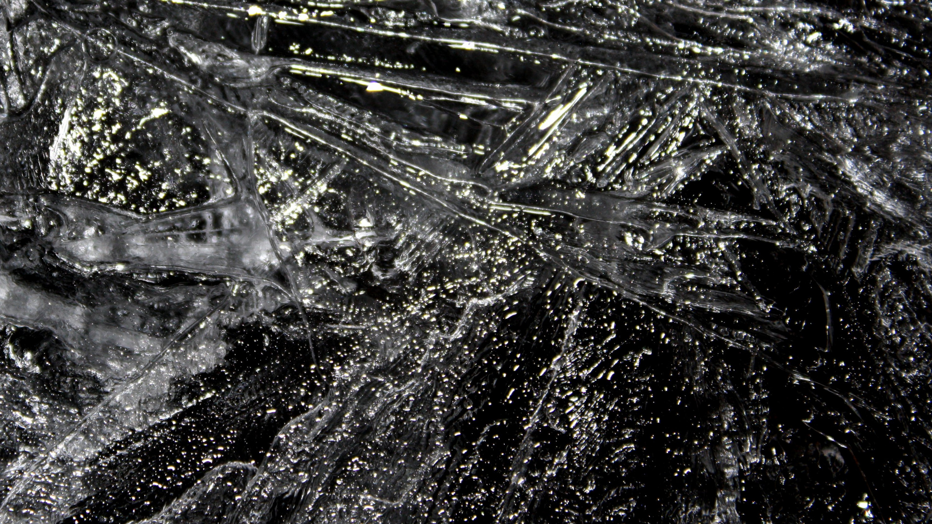 Обои вода, черный и белый, черный, монохромный, дерево в разрешении 1920x1080