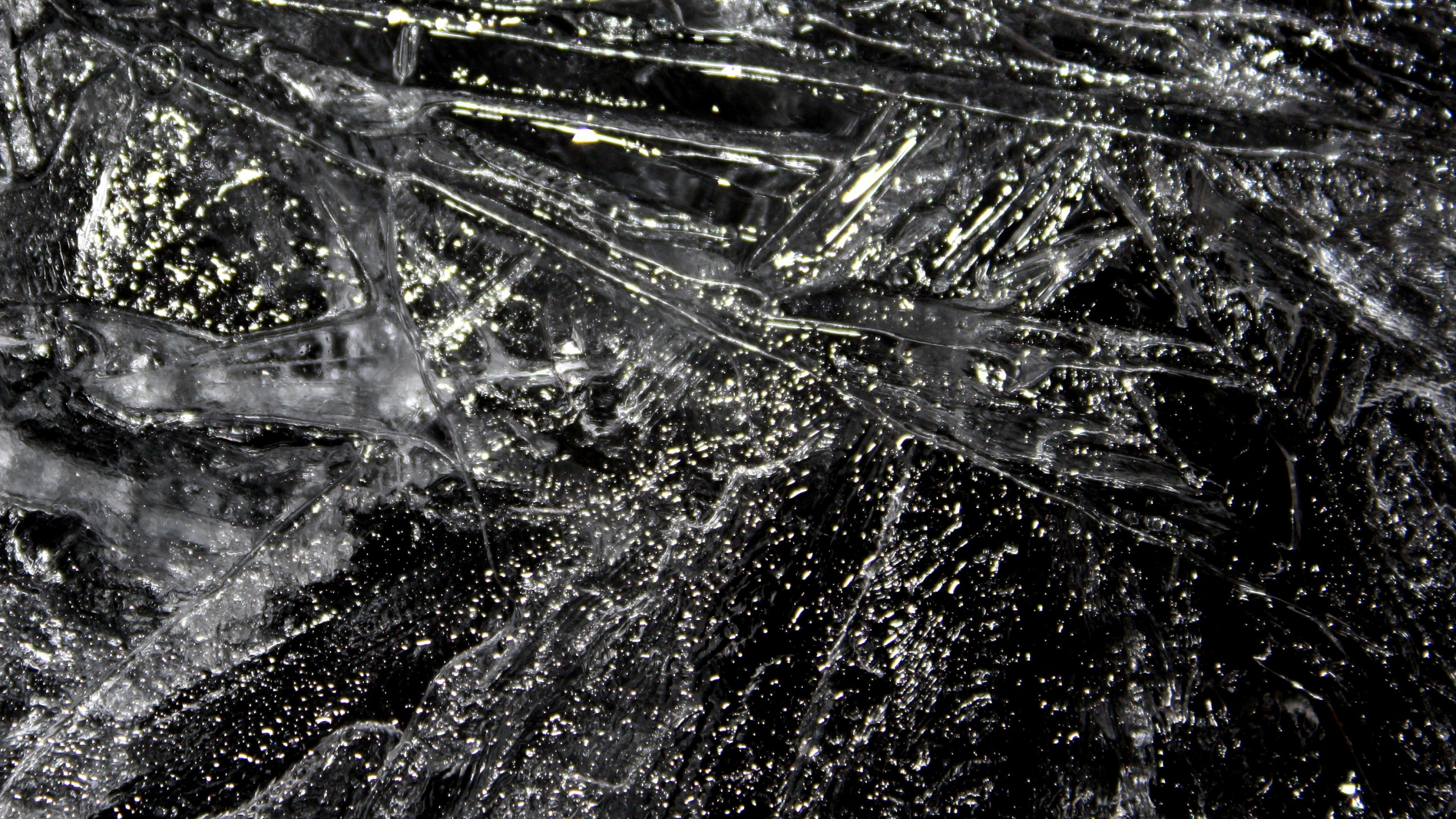 Обои вода, черный и белый, черный, монохромный, дерево в разрешении 2560x1440