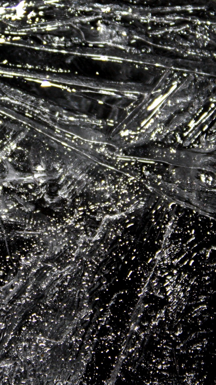 Обои вода, черный и белый, черный, монохромный, дерево в разрешении 720x1280