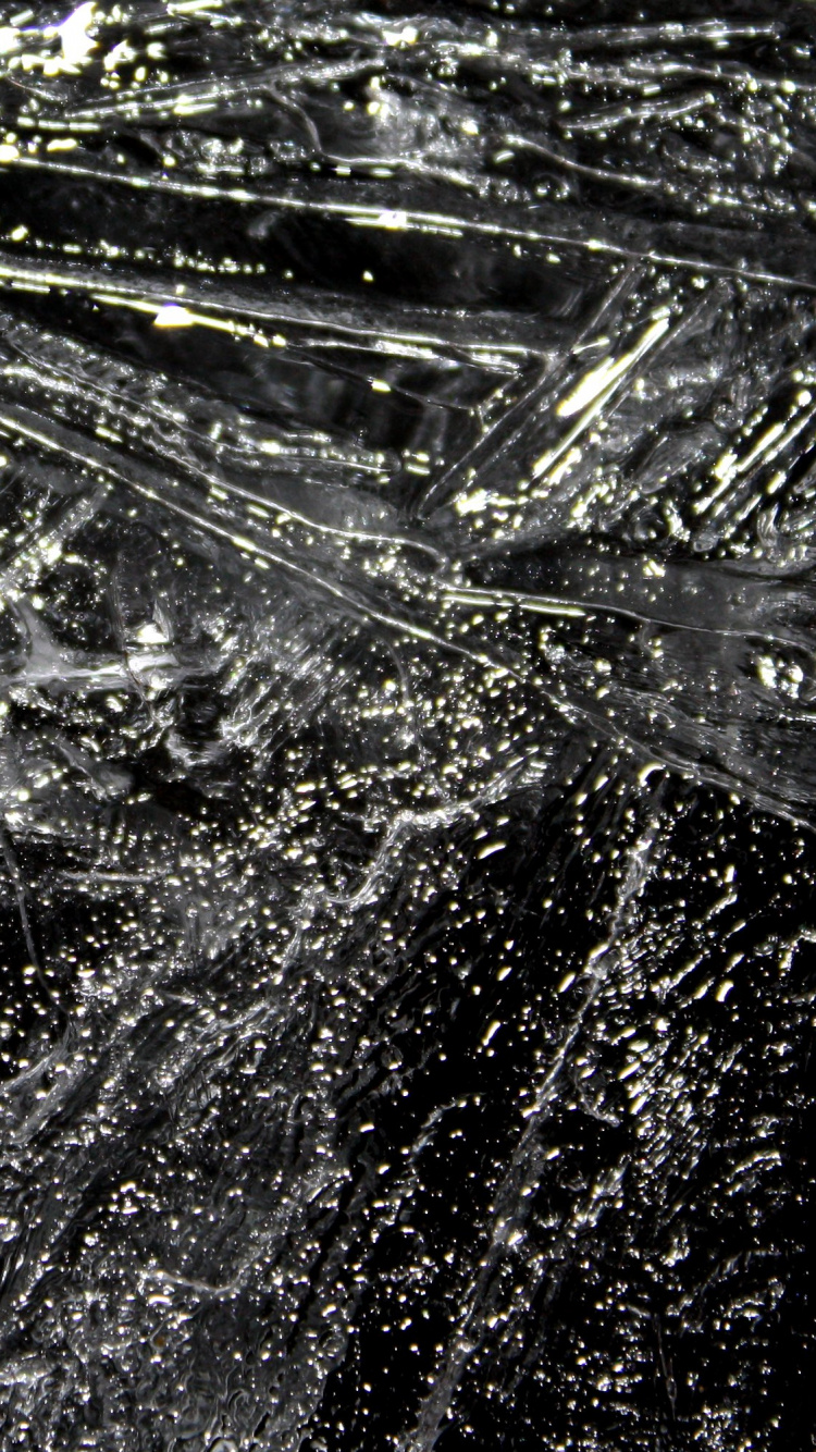 Обои вода, черный и белый, черный, монохромный, дерево в разрешении 750x1334