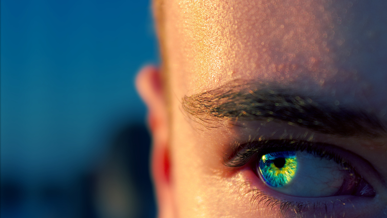 Обои жизнь, лицо, бровь, синий, глаз в разрешении 1280x720