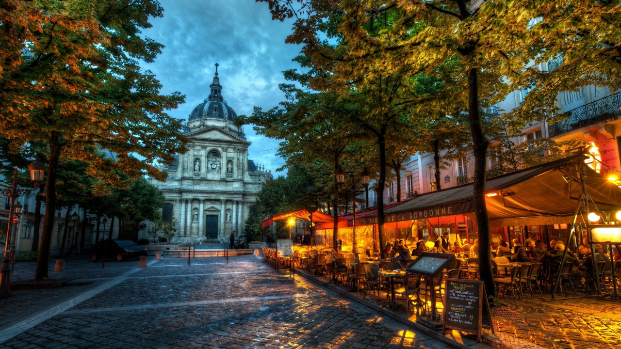 Обои Парижский университет, дерево, ориентир, городок, осень в разрешении 1280x720