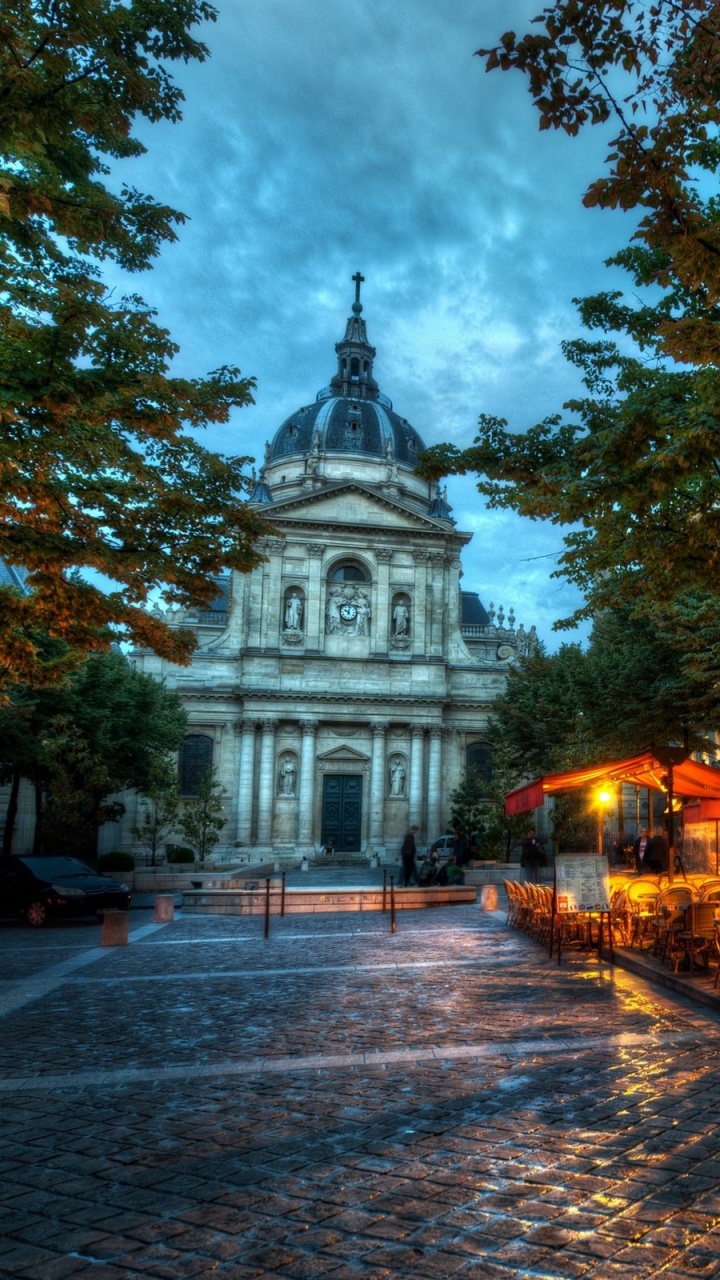 Обои Парижский университет, дерево, ориентир, городок, осень в разрешении 720x1280