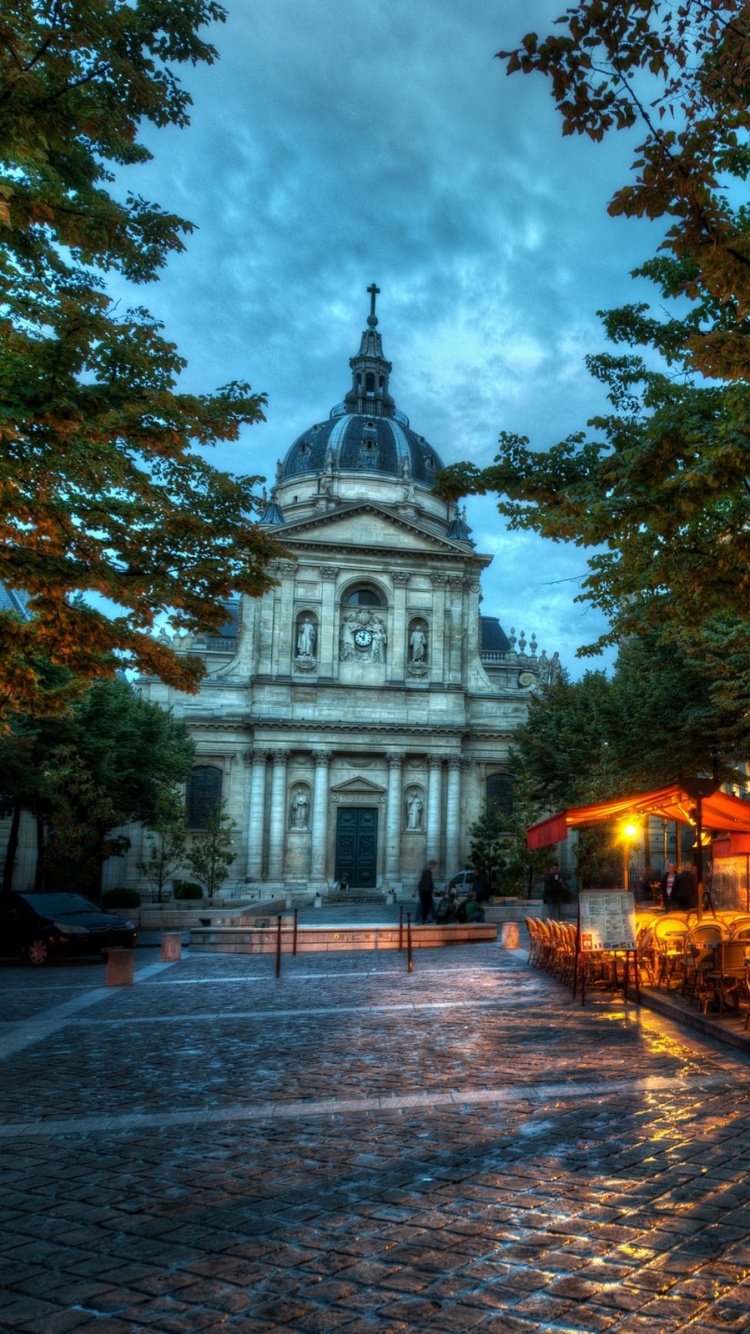 Обои Парижский университет, дерево, ориентир, городок, осень в разрешении 750x1334